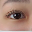 수원-0869 이미지