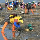 중리어촌체험마을 이미지