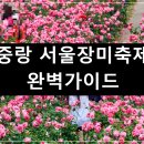 중랑 서울장미축제 가는길, 일정, 가수, 공연, 시간, 주차 총정리