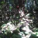 자연그리 이미지