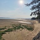 라라 펜션 | 무안펜션 | 여름휴가지로 너무 좋은 라라펜션 후기 🌊🌞