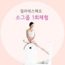 필라테스혜