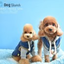 코디애견샵 이미지