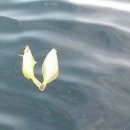 낚시모텔 이미지