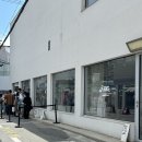 세실리아반센 아식스 성수 팝업 젤 큐물러스 16 구매 사이즈팁
