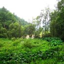 등너머약수터 이미지