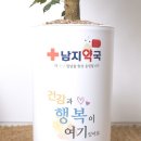 남지약국 이미지