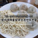 청주 성화동 맛집 속 꽉찬 만두가득 염가네해물칼국수손만두전골 후기