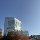 연세신경과 | 초등학생 아이 두통 신촌세브란스 소아신경과 다녀온 후기