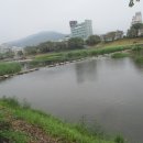 오천그린광장 이미지