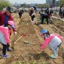 금천농장 이미지