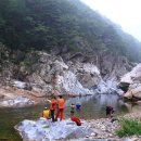 용소농장 이미지