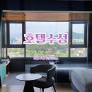 (주) 호텔수성 | 대구 두돌아이랑 인피니티풀 호캉스 호텔수성 1박 후기