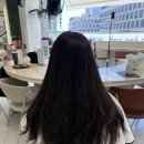 두피모발클리닉