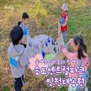 숲에온 환경 | 숲에온아이들 주말 자연 체험 학습으로 아이와 함께한 3가지 즐거운 기록