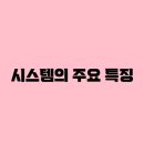 더뉴시스템