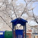 상무태권도 이미지