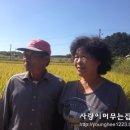 이병수농장 네이버블로그