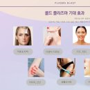 에클라 스킨 네이버블로그