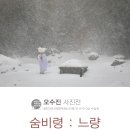 느량 Daum카페