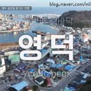 전현무계획 영덕 맛집 우정숯불갈비 항구식당 나비산 기사식당 대게 맛집 정보(위치 가격 웨이팅)