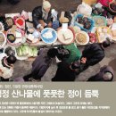 오감면발 | 오감만족 강원도 정선 5일장 완벽 탐방기: 숨겨진 보물, 전통과 맛의 향연