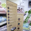 메리퀸동 이미지