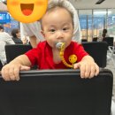 에스에스오토랜드 김포점 | 11개월 아기와 부모님과 다녀온 4박5일 제주도 여행 1탄 (제주 한화리조트/섭지코지/제주아쿠아플라넷)