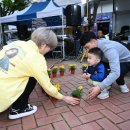 남구-4 이미지