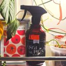 친환경 그린 가드닝 | 식집사 필수템 쉐어그린 에스지원플러스 반려식물 친환경 살충제