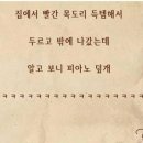 사연 이미지