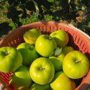 초록농장2 이미지