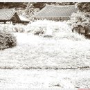 록천축산 네이버블로그