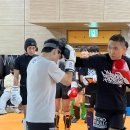 싸이코 핏불스 이미지