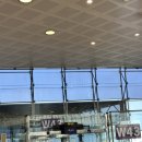 408 | 바르셀로나->인천 티웨이항공 TW408 탑승 후기 / 사전 체크인, 기내식, 눕코노미 꿀팁