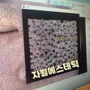 엥 원래 18호 피부였다고? 자월에스테틱에서 피부 나이 측정하고 맞춤 신부관리받고 온 후기