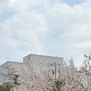 은이로 | [용인 대형카페: 아이소-커피맛집] 빵맛집 방문한 후기😘