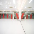 플렉스 복싱 킥복싱 이미지