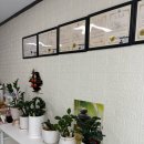 합정초등학교 | 평택 레드희 사주타로카페 솔직후기✨ 가격·분위기·타로 정확도까지!