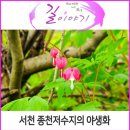 종천(서울) 이미지