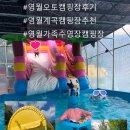 [ ★강원도 영월 밤 하늘의 아름다운 별에 취하는★ ] 영월 천문대 오토캠핑장 키즈 영월 오토캠핑장 후기