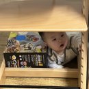 7개월 10일] 5배죽이유식시작, 아기랑 셀프사전점검후기 ,아기 고열 대처법, 7개월아기 엄마 하루 일과