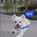 (주)엠에이치건설 이미지