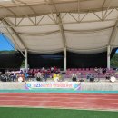 대곡1리 | 마을 화합의 한마당잔치 후기