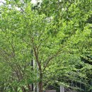 왕방힐링마을 이미지