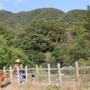 순양농장 이미지