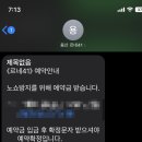 르네41 이미지