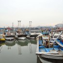 소래포구 - 용인시 기흥구 신갈로58번길 5 | 소래포구