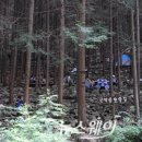 완주 편백숲 관광안내소 이미지