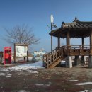 거진활어회센터 이미지